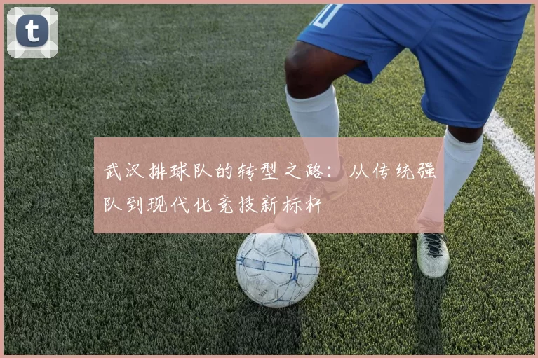 武汉排球队的转型之路：从传统强队到现代化竞技新标杆