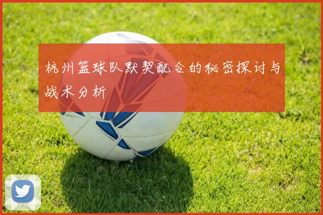 杭州篮球队默契配合的秘密探讨与战术分析