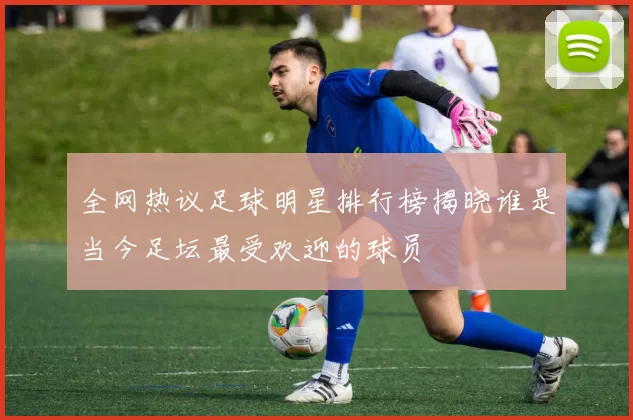 全网热议足球明星排行榜揭晓谁是当今足坛最受欢迎的球员