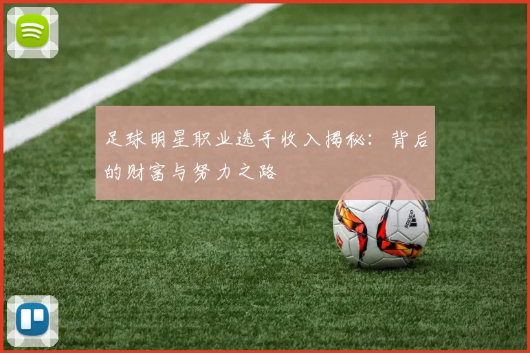 足球明星职业选手收入揭秘：背后的财富与努力之路