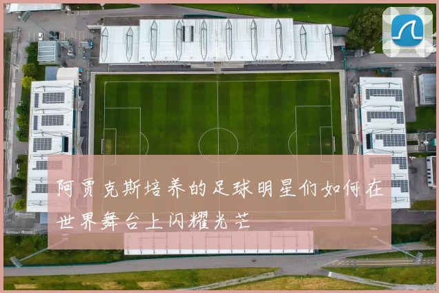 阿贾克斯培养的足球明星们如何在世界舞台上闪耀光芒