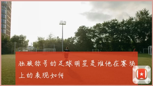 独狼称号的足球明星是谁他在赛场上的表现如何