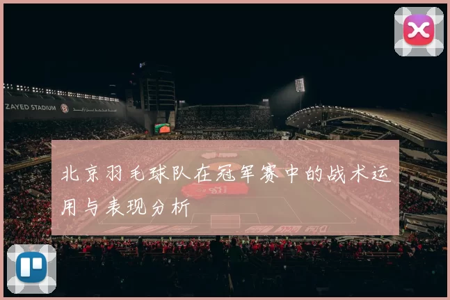 北京羽毛球队在冠军赛中的战术运用与表现分析