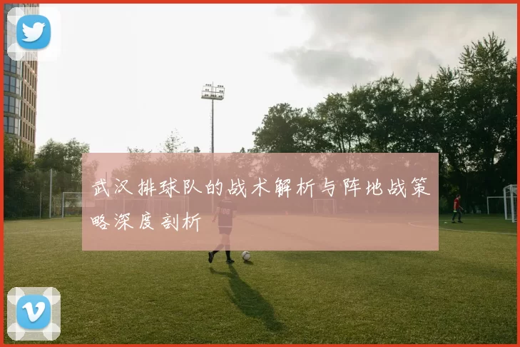 武汉排球队的战术解析与阵地战策略深度剖析
