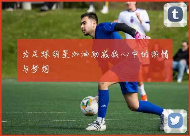 为足球明星加油助威我心中的热情与梦想
