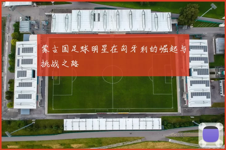 蒙古国足球明星在匈牙利的崛起与挑战之路