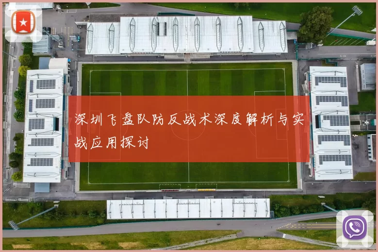深圳飞盘队防反战术深度解析与实战应用探讨