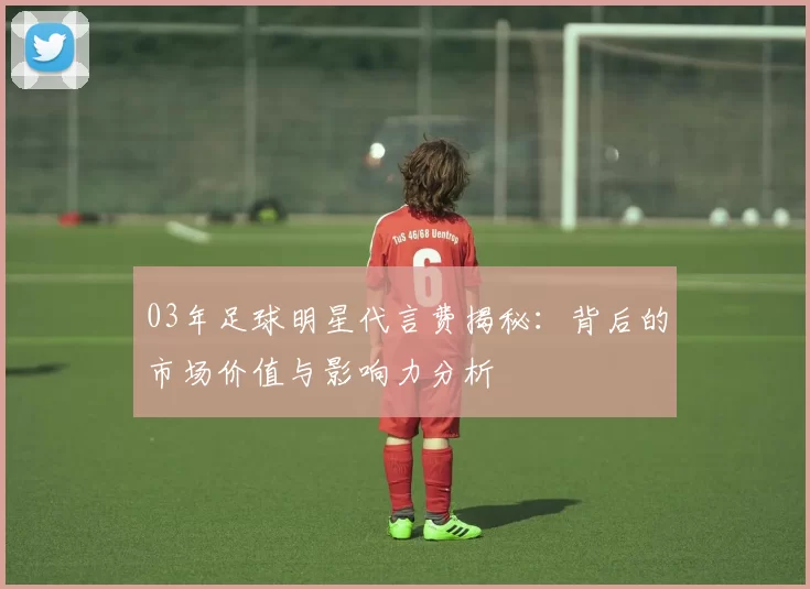 03年足球明星代言费揭秘：背后的市场价值与影响力分析