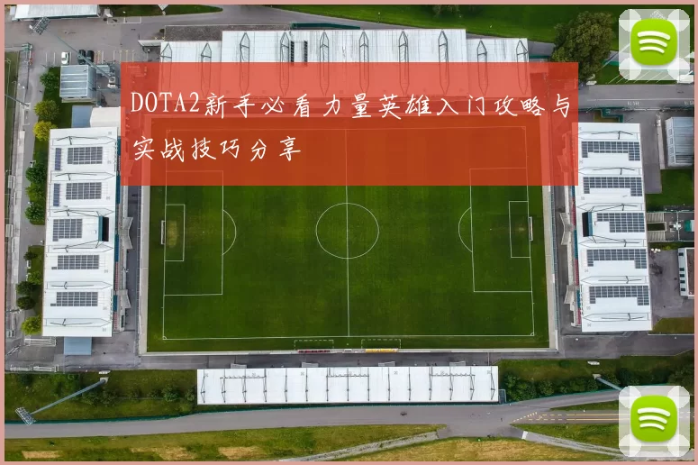 DOTA2新手必看力量英雄入门攻略与实战技巧分享