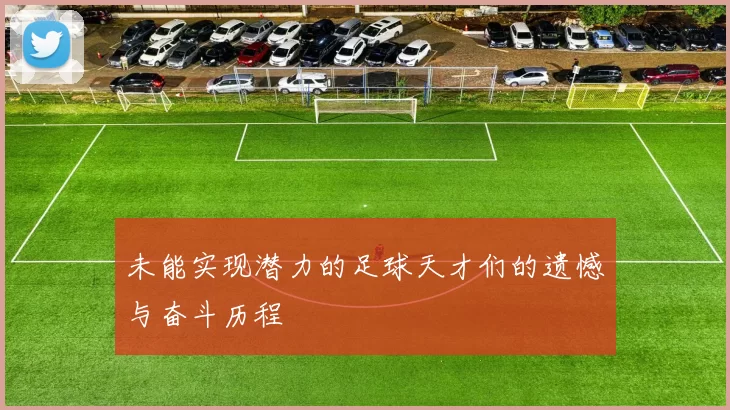 未能实现潜力的足球天才们的遗憾与奋斗历程