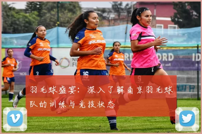 羽毛球盛宴：深入了解南京羽毛球队的训练与竞技状态