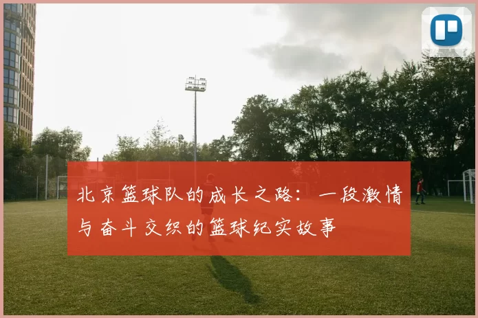 北京篮球队的成长之路：一段激情与奋斗交织的篮球纪实故事