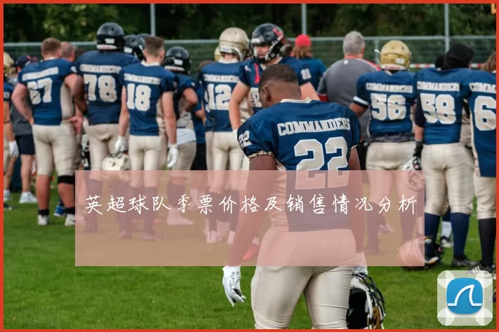英超球队季票价格及销售情况分析