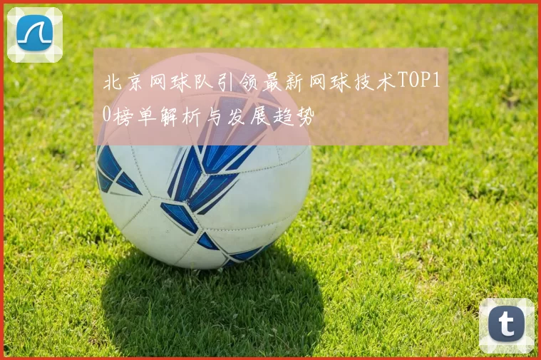 北京网球队引领最新网球技术TOP10榜单解析与发展趋势