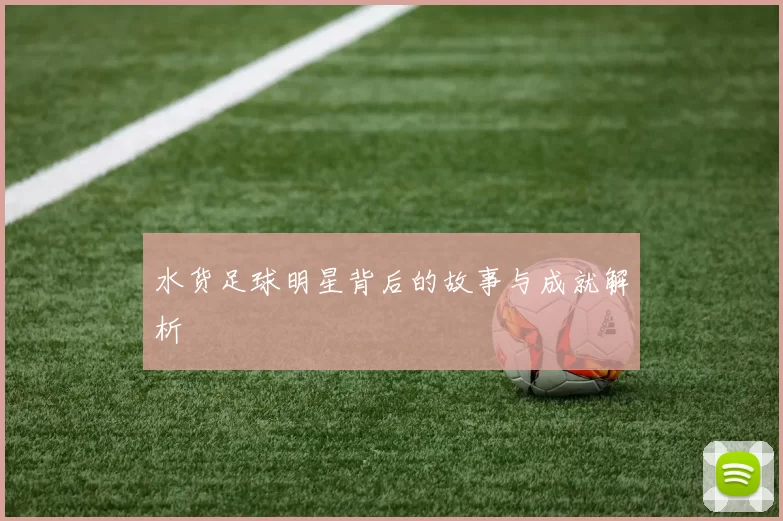 水货足球明星背后的故事与成就解析