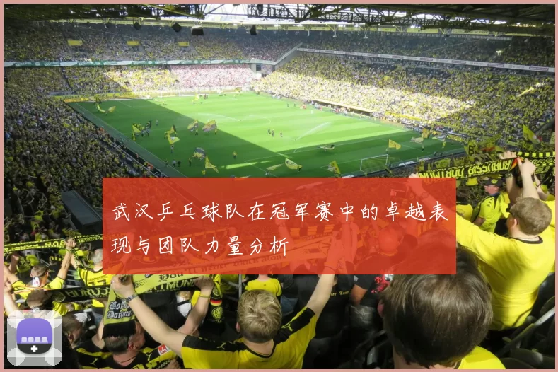 武汉乒乓球队在冠军赛中的卓越表现与团队力量分析