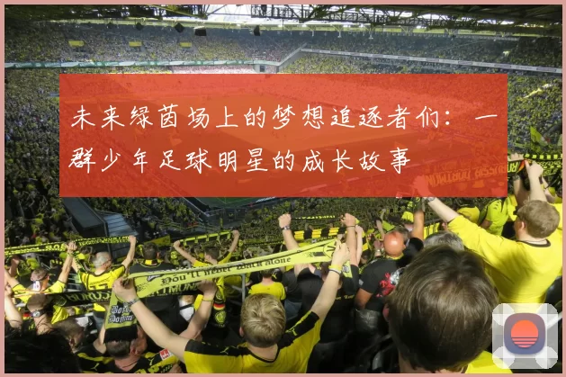 未来绿茵场上的梦想追逐者们：一群少年足球明星的成长故事
